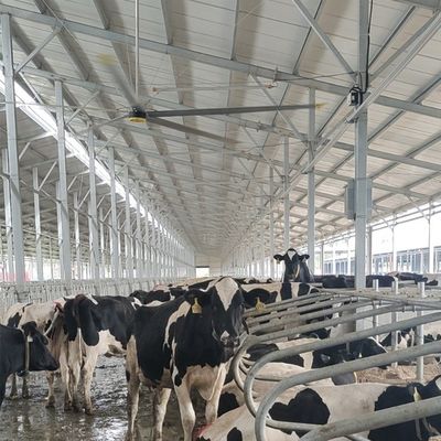 良い価格 6.1m 20FT産業用天井扇風機 6Pcs アルミマグネシウム合金刃と耐久性 オンライン